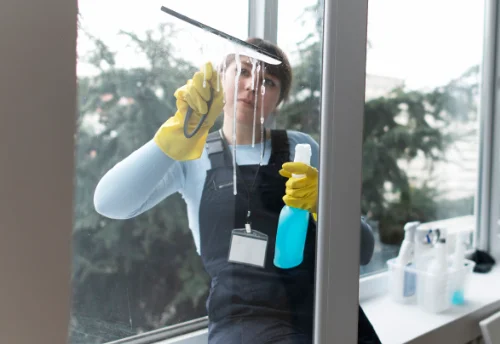 Nettoyage de vitres intérieures et extérieures à Cercié